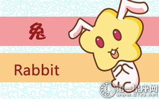 属兔子游戏,欢乐满溢的兔子世界探险之旅(图2)