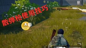 山炮说游戏,揭秘网络热梗背后的游戏世界(图2)