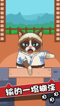小猫脸游戏,趣味无限(图1) 小猫脸游戏,趣味无限(图1)