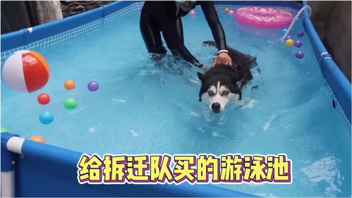 买游戏池,打造个性化游戏池攻略(图1)