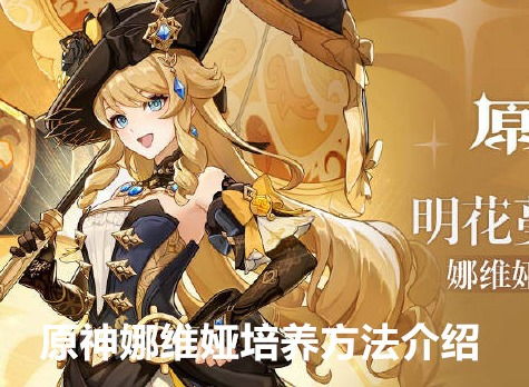 娅养成游戏,从平凡少女到传奇英雄的蜕变之旅(图2) 娅养成游戏,从平凡少女到传奇英雄的蜕变之旅(图2)