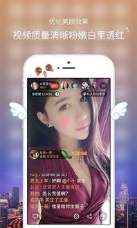 游戏LML,探索奇幻世界的冒险之旅(图1)
