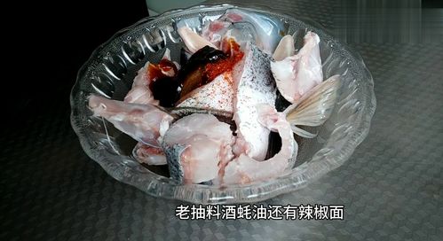 游戏鱼头教,探寻神秘海洋世界的奇幻冒险之旅(图1) 游戏鱼头教,探寻神秘海洋世界的奇幻冒险之旅(图1)