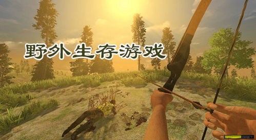 野外自由游戏,探索自然与冒险的无限可能(图3) 野外自由游戏,探索自然与冒险的无限可能(图3)