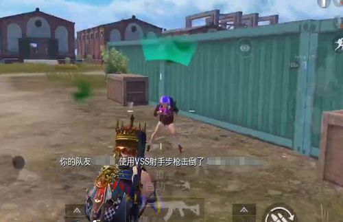 老和平游戏,体验怀旧策略战棋的魅力(图3) 老和平游戏,体验怀旧策略战棋的魅力(图3)