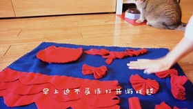 猫咪游戏毯,陪伴萌宠快乐成长(图1) 猫咪游戏毯,陪伴萌宠快乐成长(图1)