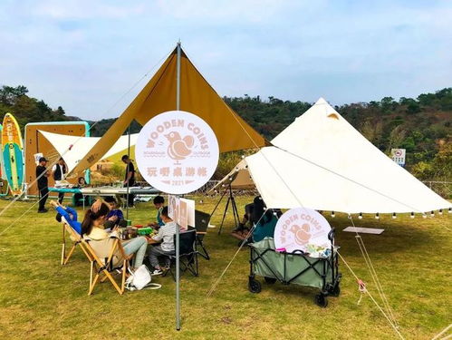 玩露营游戏,露营游戏中的户外冒险之旅(图2) 玩露营游戏,露营游戏中的户外冒险之旅(图2)