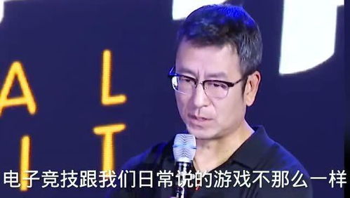 白岩松游戏,探寻人生新境界(图1) 白岩松游戏,探寻人生新境界(图1)