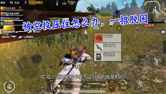 落落游戏试玩,探索未知世界的奇幻之旅(图1)