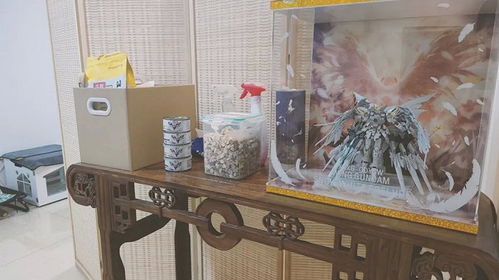 昆布游戏,一场惊心动魄的生存挑战之旅(图1)