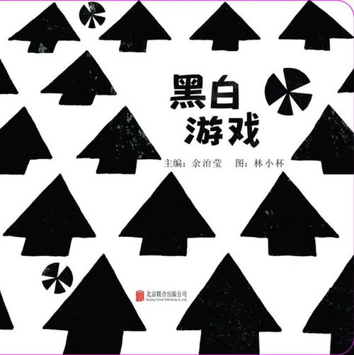黑白册游戏,穿梭时空的冒险之旅(图1)