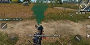 游戏丢弃,揭秘玩家情感与虚拟世界的交织(图2)