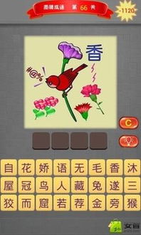接亲游戏猜字游戏,一场欢乐的文字盛宴(图3)