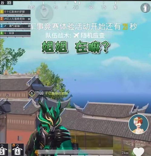 游戏牧童头像,田园牧歌中的游戏时光(图2)