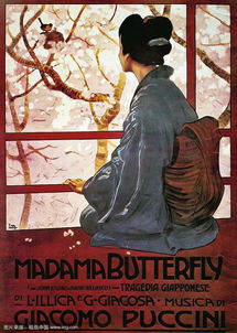 段夫人游戏,穿越时空的奇幻之旅(图1) 段夫人游戏,穿越时空的奇幻之旅(图1)