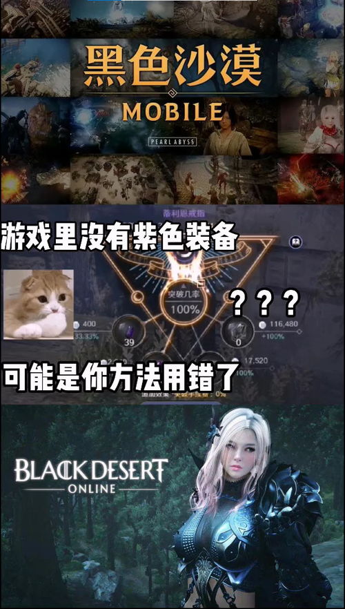 黑紫色游戏,探寻神秘色彩下的虚拟世界奥秘(图2)