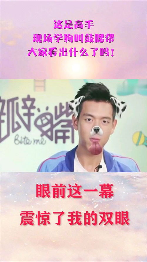 鼓腮帮游戏,欢乐无限(图2) 鼓腮帮游戏,欢乐无限(图2)