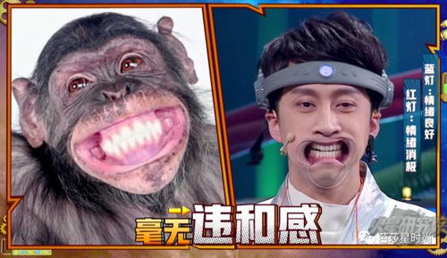 接嘴游戏,智慧碰撞的欢乐时光(图1) 接嘴游戏,智慧碰撞的欢乐时光(图1)
