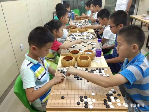 儿童走棋游戏,培养智慧与策略的趣味之旅(图1)