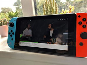 怀德花园switch游戏 (图2)