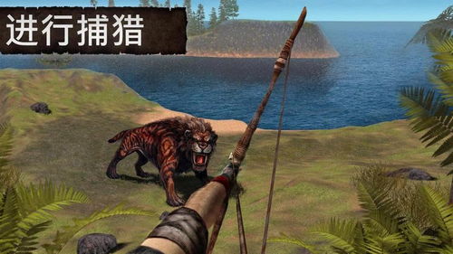 游戏森林孤岛,揭秘神秘孤岛的生存法则(图2)