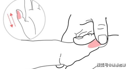 脾胃游戏,探寻脾胃健康与快乐生活的奥秘之旅(图1) 脾胃游戏,探寻脾胃健康与快乐生活的奥秘之旅(图1)