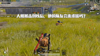 刁钻问题游戏,刁钻问题游戏挑战之旅(图3) 刁钻问题游戏,刁钻问题游戏挑战之旅(图3)