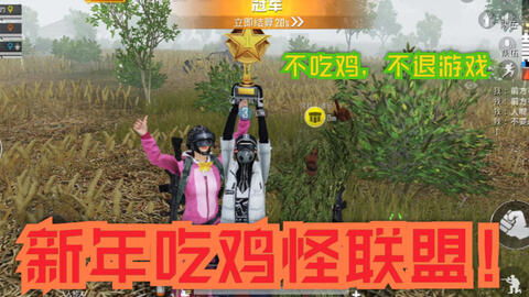 游戏鸡下,探寻神秘鸡世界的奇幻冒险之旅(图2)