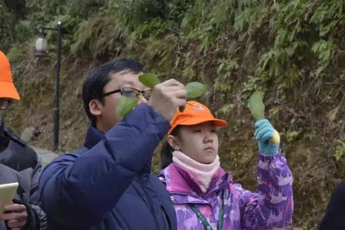 竹高跷游戏,传统民俗与现代活力的完美融合(图3) 竹高跷游戏,传统民俗与现代活力的完美融合(图3)