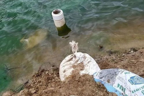 鱼塘不浅游戏,揭秘水下世界的奇幻冒险之旅(图3) 鱼塘不浅游戏,揭秘水下世界的奇幻冒险之旅(图3)