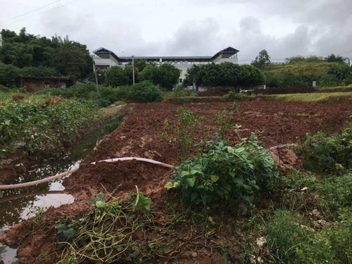 鱼塘不浅游戏,揭秘水下世界的奇幻冒险之旅(图2) 鱼塘不浅游戏,揭秘水下世界的奇幻冒险之旅(图2)