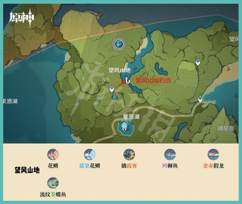共享位置游戏,一场虚拟世界的冒险之旅(图1)