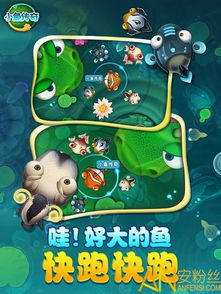 小鱼传奇游戏,奇幻水域的冒险之旅(图1)