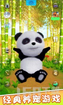 熊猫宝宝游戏,欢乐无限(图2)