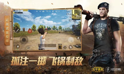 吃鸡游戏下载要钱吗,免费还是付费？(图3)