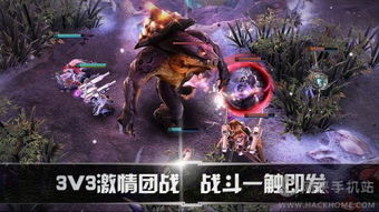 虚荣游戏正版官网,探索虚拟世界的荣耀与激情(图1)
