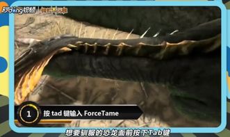 驯服类游戏,探索游戏中的驯兽传奇(图2) 驯服类游戏,探索游戏中的驯兽传奇(图2)