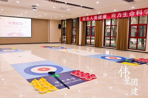 集体游戏活动室内大全,打造欢乐互动时光(图3)