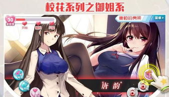 校花道游戏,青春校园的浪漫传奇(图2)
