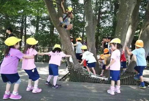 幼儿园集体游戏视频,集体游戏精彩瞬间回顾(图3) 幼儿园集体游戏视频,集体游戏精彩瞬间回顾(图3)