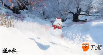 雪灵游戏,探寻神秘雪域的奇幻冒险之旅(图2)