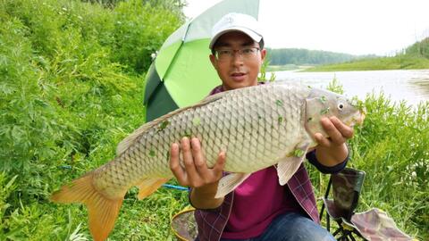新鲤鱼游戏,体验别样江湖情缘(图2) 新鲤鱼游戏,体验别样江湖情缘(图2)