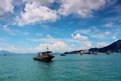 巽寮湾游戏,畅游海滨的虚拟乐园(图1) 巽寮湾游戏,畅游海滨的虚拟乐园(图1)