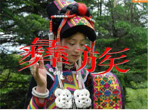 喜鹊钻篱笆游戏视频,趣味盎然的亲子互动游戏瞬间(图3) 喜鹊钻篱笆游戏视频,趣味盎然的亲子互动游戏瞬间(图3)