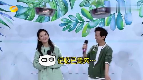 快乐大本营砸锅游戏,笑声连连(图1)