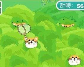小游戏抓猫,趣味抓猫小游戏体验记(图3) 小游戏抓猫,趣味抓猫小游戏体验记(图3)