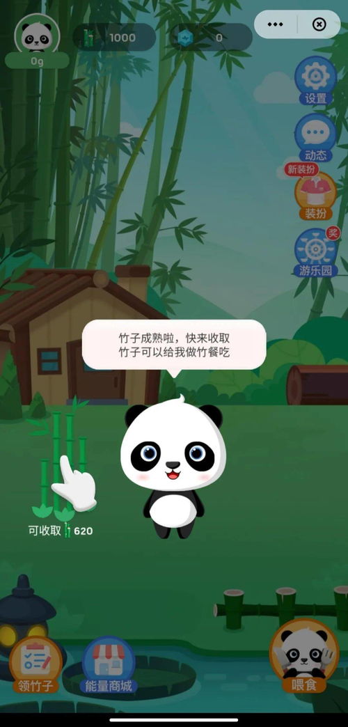 熊猫竹子游戏,绿色生态的趣味探险之旅(图1) 熊猫竹子游戏,绿色生态的趣味探险之旅(图1)
