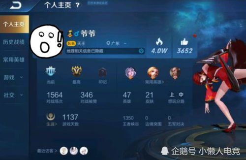 炫耀的游戏名,揭秘那些让人羡慕不已的炫酷游戏名背后的故事(图2)
