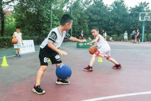 与篮球相关的游戏,指尖上的篮球盛宴(图1)