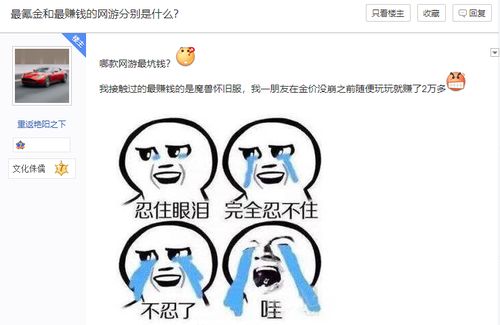 网络游戏坑钱,玩家血泪史(图1)